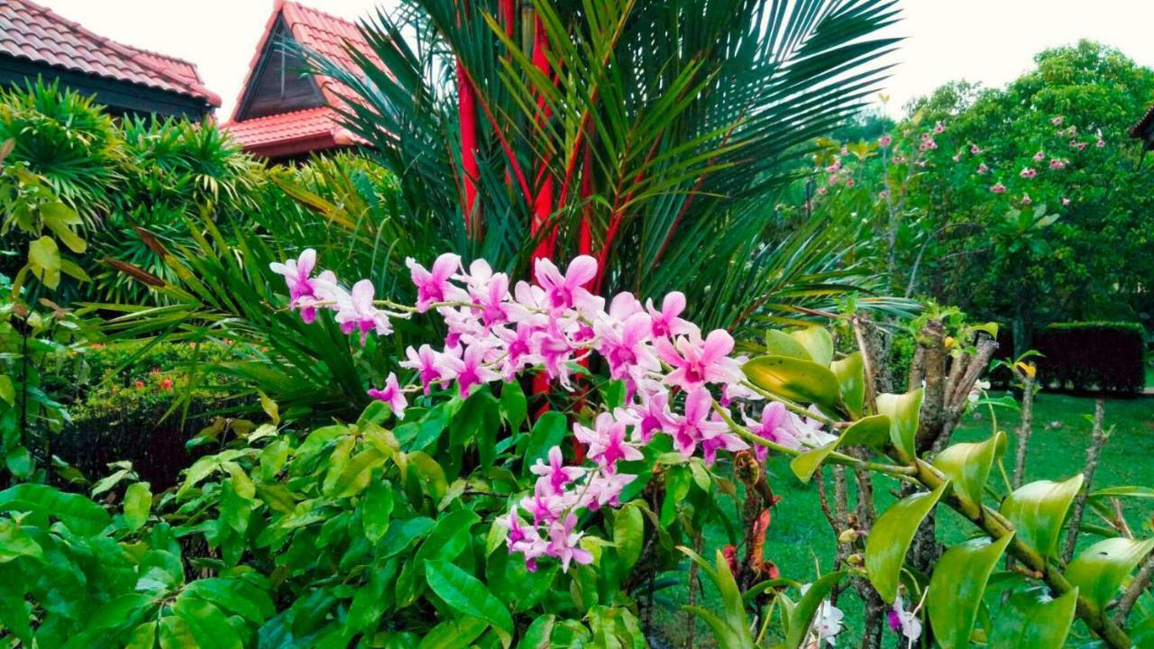 Family-Friendly House, A Few Steps From The Pool And Close To The Ocean. Mae Phim Exteriér fotografie